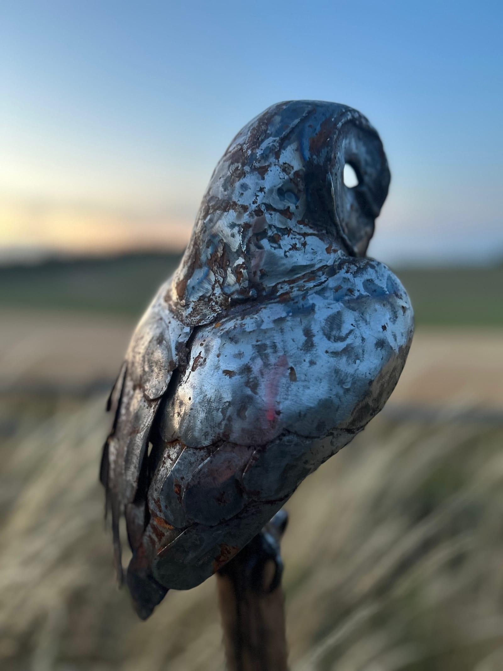 Close view of the weathered mild steel barn owl, its rust-mottled face disc and breast catching low evening light.