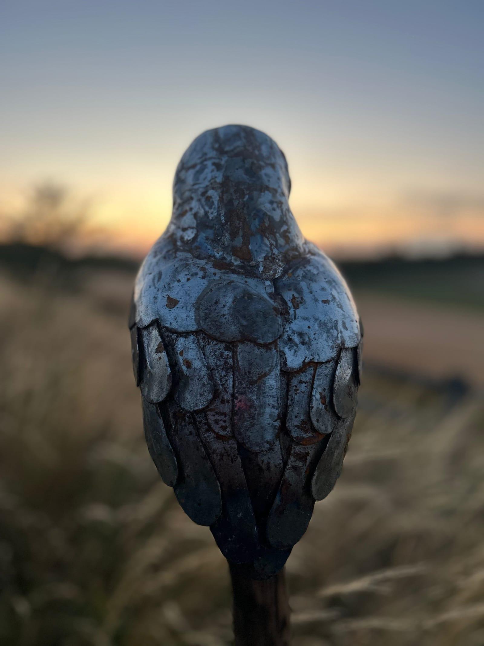The mild steel barn owl seen from behind, its layered wing and tail feathers weathered to a rust patina, on a post against open fields at dusk.