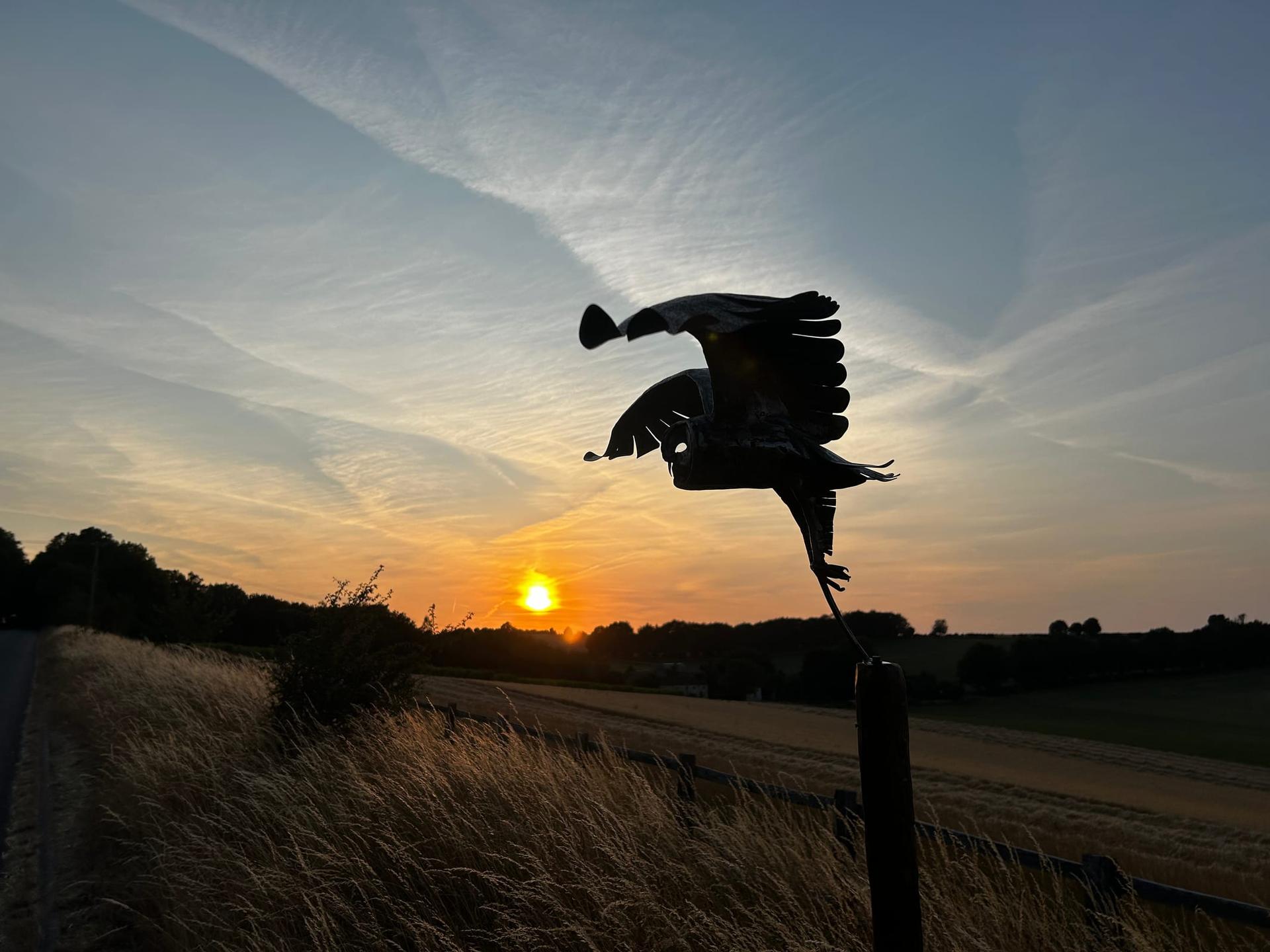 Barn owl sculpture against a dusk sky — Bunyan & Breeze