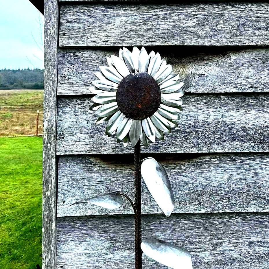 Metal sunflower sculpture against weathered wood fence